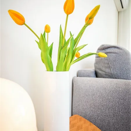 Apartman Bom Jardim Porto