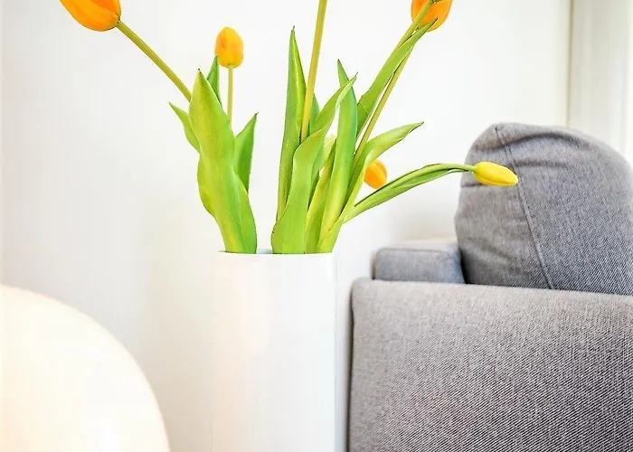 Apartmán Bom Jardim Porto